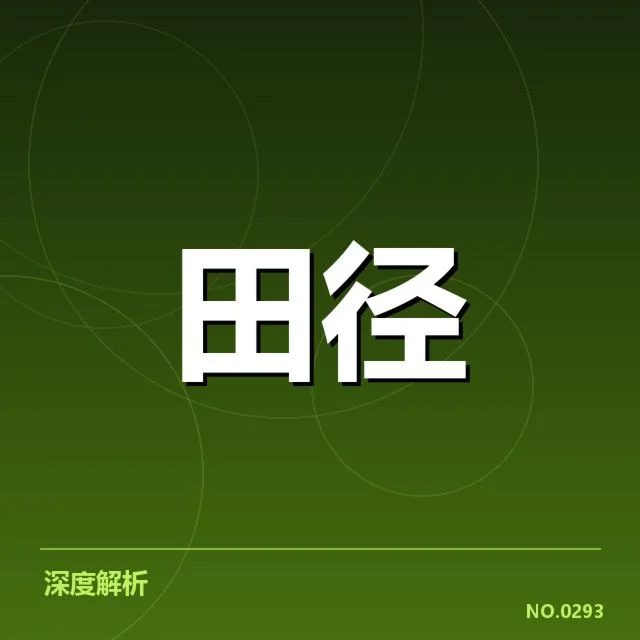 冠军名单与赛程安排的官方确认